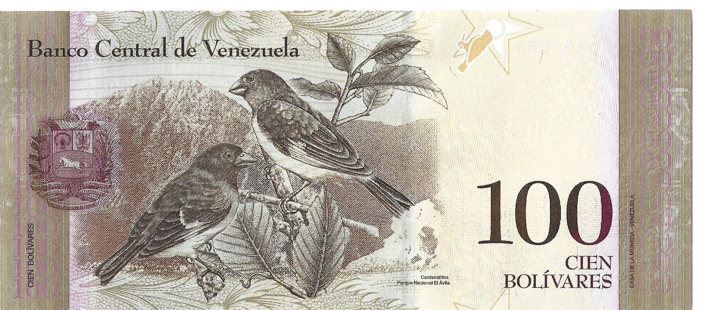 Wenezuela 100 Bolivar 2015 - UNC